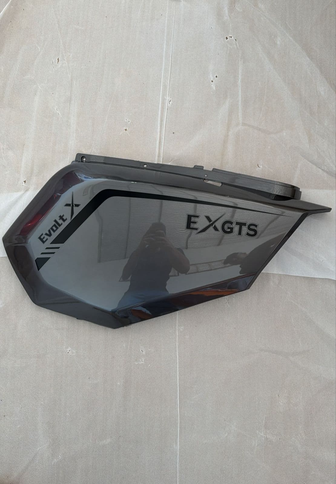 Carenagem Lateral Esquerdo — EXGTS
