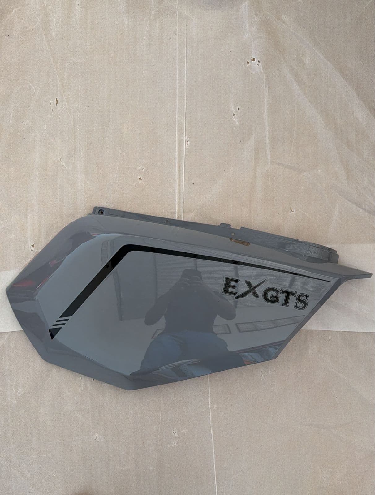 Carenagem Lateral Esquerdo — EXGTS
