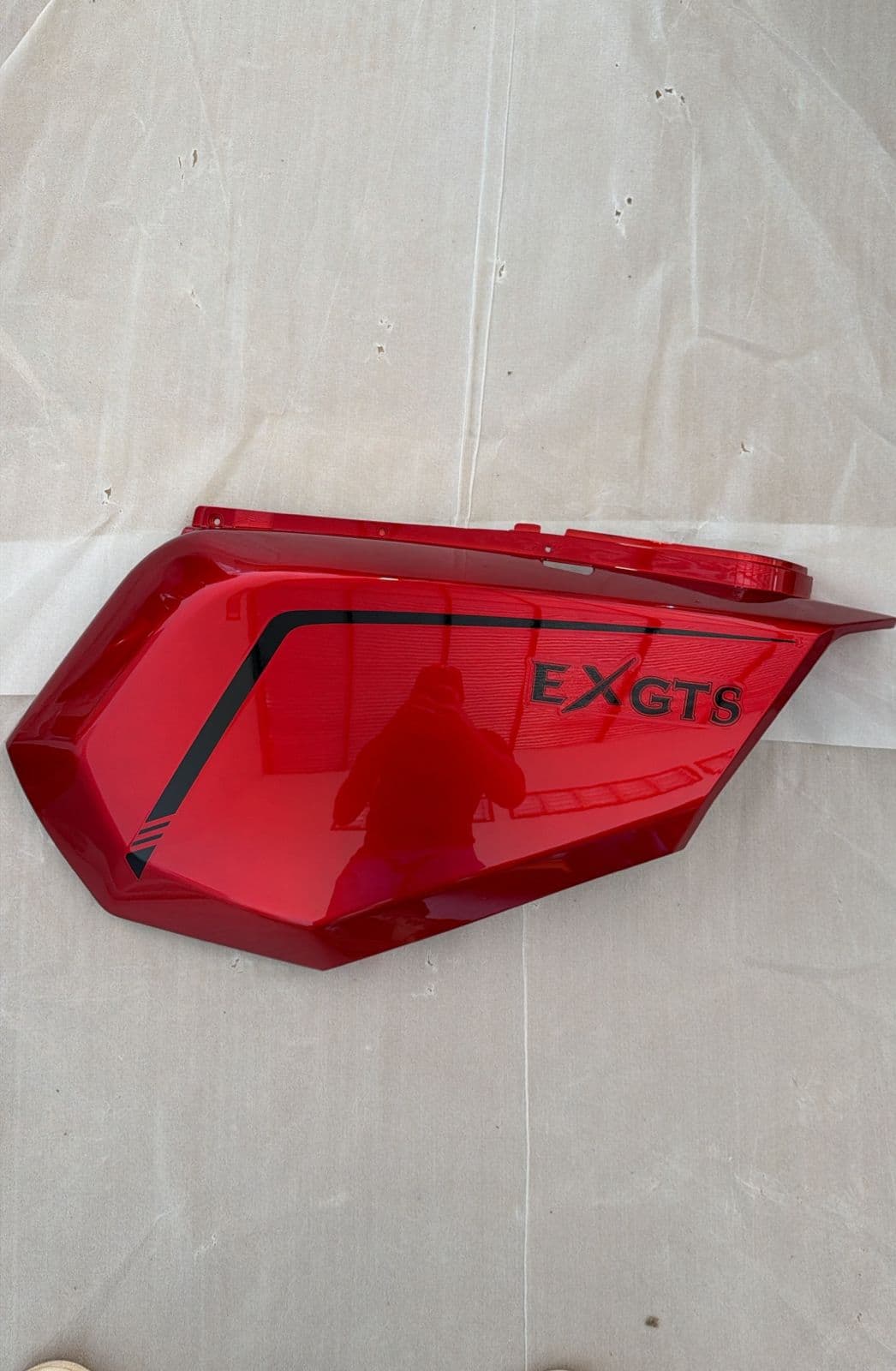 Carenagem Lateral Esquerdo — EXGTS