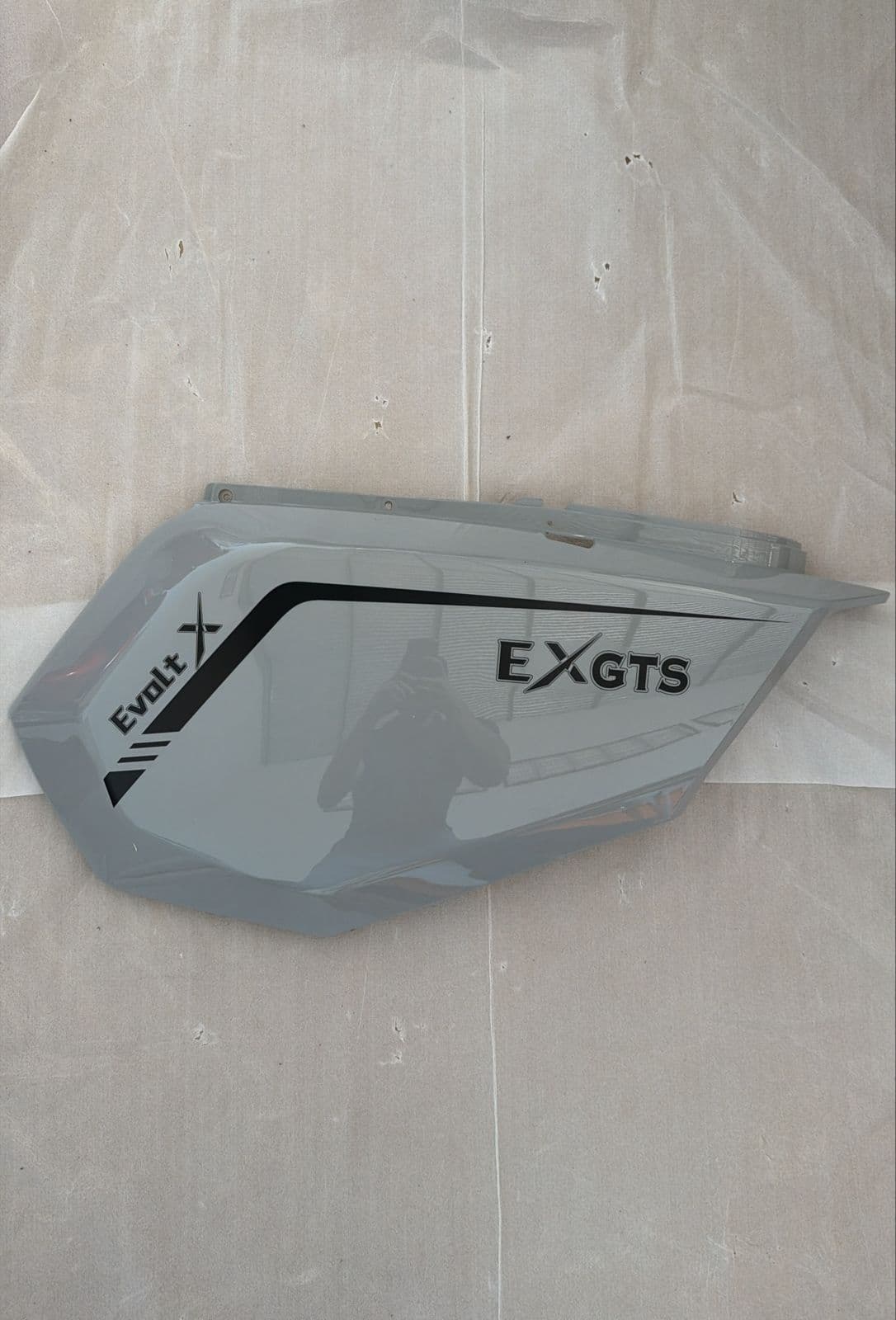 Carenagem Lateral Esquerdo — EXGTS