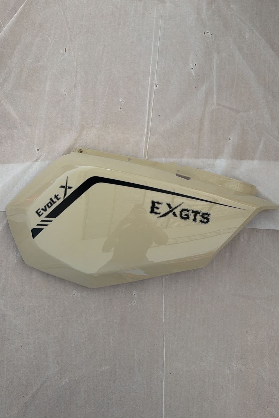 Carenagem Lateral Esquerdo — EXGTS