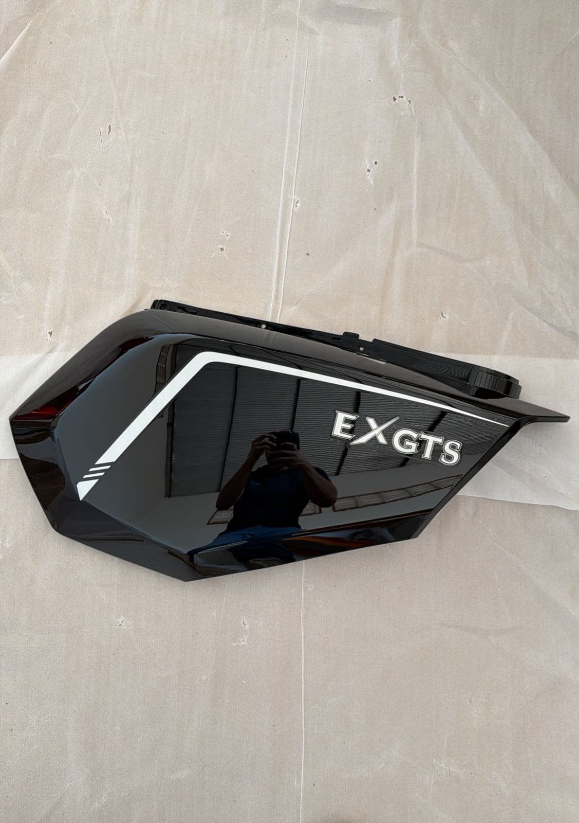 Carenagem Lateral Esquerdo — EXGTS
